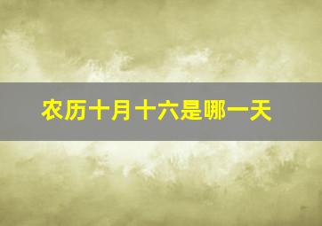 农历十月十六是哪一天