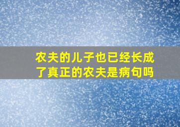 农夫的儿子也已经长成了真正的农夫是病句吗