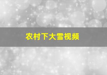 农村下大雪视频