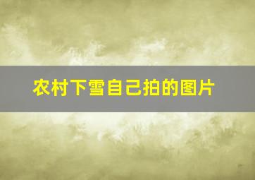 农村下雪自己拍的图片