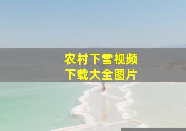 农村下雪视频下载大全图片