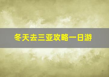 冬天去三亚攻略一日游