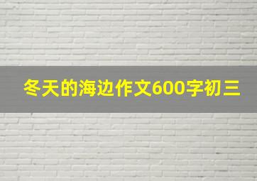 冬天的海边作文600字初三