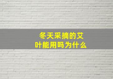 冬天采摘的艾叶能用吗为什么