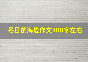 冬日的海边作文300字左右