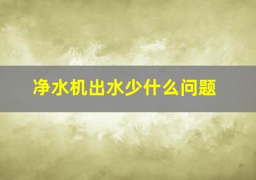 净水机出水少什么问题