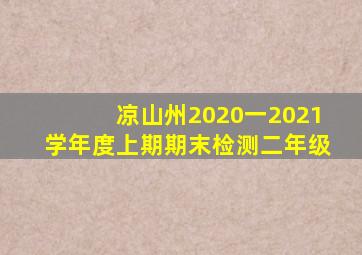 凉山州2020一2021学年度上期期末检测二年级