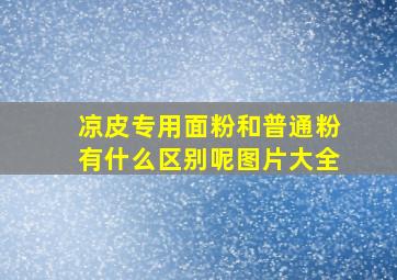 凉皮专用面粉和普通粉有什么区别呢图片大全