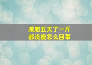 减肥五天了一斤都没瘦怎么回事