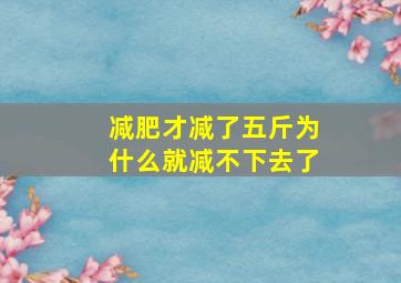 减肥才减了五斤为什么就减不下去了