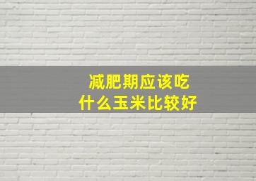 减肥期应该吃什么玉米比较好