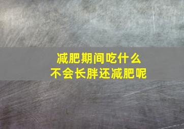 减肥期间吃什么不会长胖还减肥呢