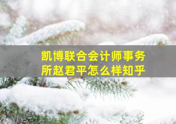 凯博联合会计师事务所赵君平怎么样知乎