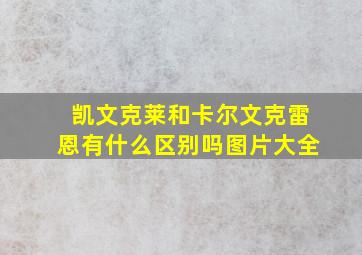 凯文克莱和卡尔文克雷恩有什么区别吗图片大全