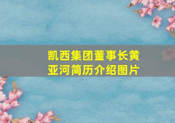 凯西集团董事长黄亚河简历介绍图片