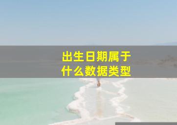 出生日期属于什么数据类型