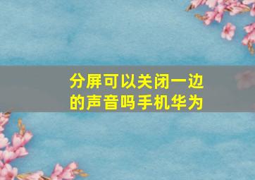 分屏可以关闭一边的声音吗手机华为