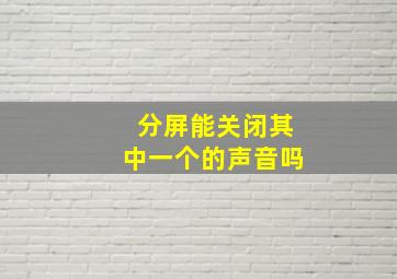 分屏能关闭其中一个的声音吗