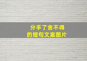 分手了舍不得的短句文案图片