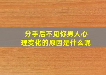 分手后不见你男人心理变化的原因是什么呢