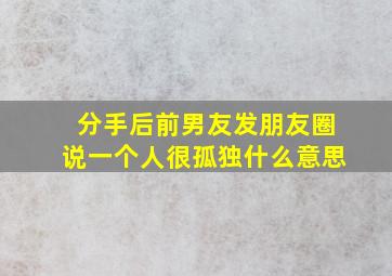 分手后前男友发朋友圈说一个人很孤独什么意思