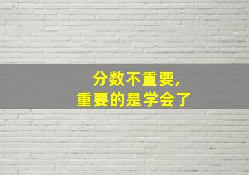 分数不重要,重要的是学会了