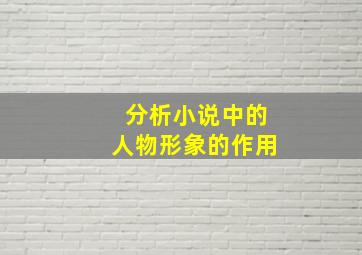 分析小说中的人物形象的作用