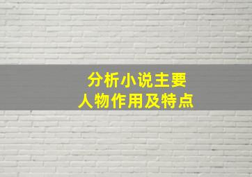 分析小说主要人物作用及特点