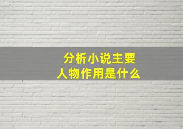 分析小说主要人物作用是什么