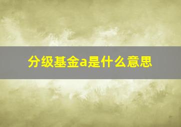 分级基金a是什么意思