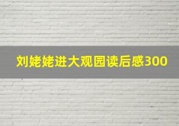 刘姥姥进大观园读后感300