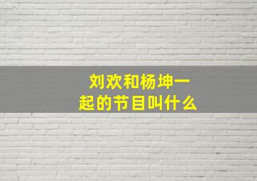 刘欢和杨坤一起的节目叫什么