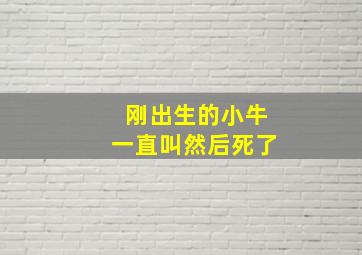 刚出生的小牛一直叫然后死了