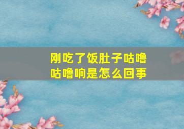 刚吃了饭肚子咕噜咕噜响是怎么回事