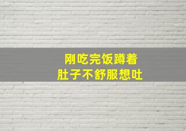 刚吃完饭蹲着肚子不舒服想吐