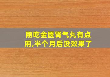 刚吃金匮肾气丸有点用,半个月后没效果了