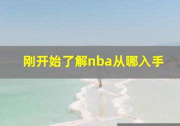 刚开始了解nba从哪入手