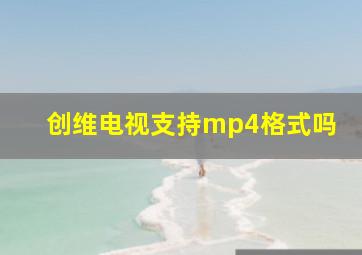 创维电视支持mp4格式吗