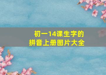 初一14课生字的拼音上册图片大全