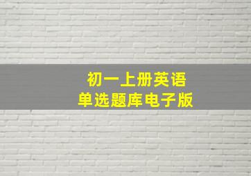 初一上册英语单选题库电子版