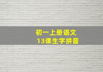 初一上册语文13课生字拼音