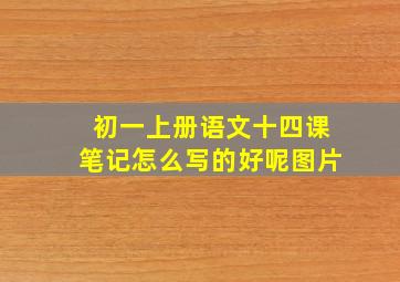 初一上册语文十四课笔记怎么写的好呢图片