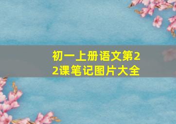 初一上册语文第22课笔记图片大全