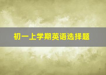 初一上学期英语选择题