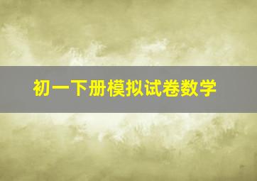 初一下册模拟试卷数学