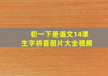 初一下册语文14课生字拼音图片大全视频