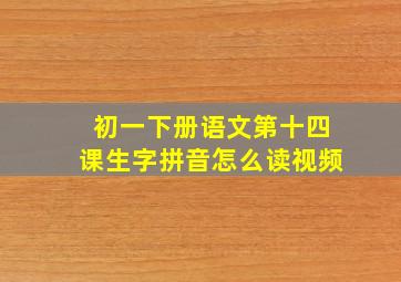 初一下册语文第十四课生字拼音怎么读视频