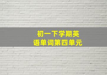 初一下学期英语单词第四单元