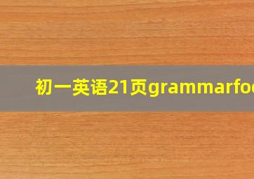 初一英语21页grammarfocus