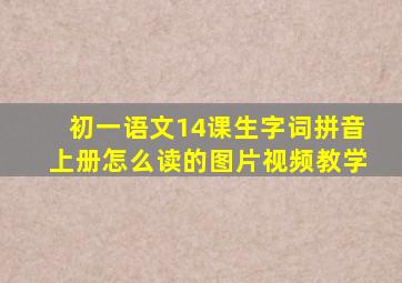 初一语文14课生字词拼音上册怎么读的图片视频教学